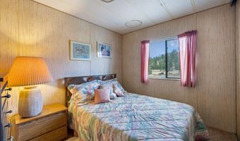 4 County Road 2110, Alpine, AZ 85920