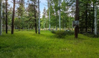 21 County Road 2043, Alpine, AZ 85920