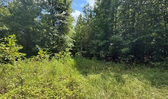 1324 Highway 81 N, Calhoun Falls, SC 29628