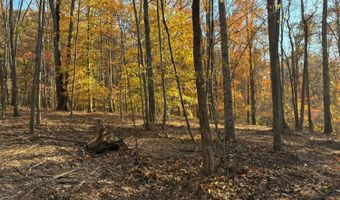 99- C Richmond Hwy, Amherst, VA 24521