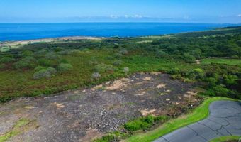 81-6691 PAKAUKANI Pl Lot #: 24, Kealakekua, HI 96750