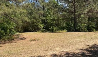 County Road 50, Abbeville, AL 36310