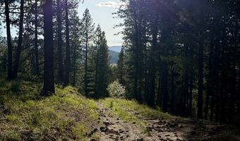 18 Tito Trl Lot 8, Cascade, ID 83611