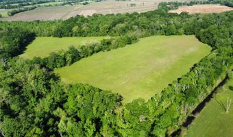1226 Joe Kidder Rd, Arnaudville, LA 70512