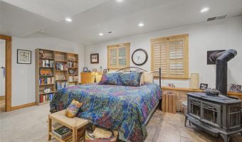 62 Lazy Rex Rd, Alma, CO 80440