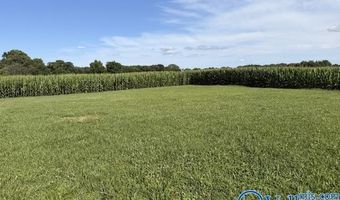 4192 Elkwood Section Rd, Ardmore, AL 35739