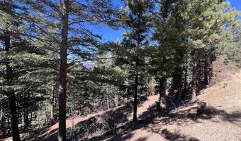 Back Basin Rd lot 156, Angel Fire, NM 87710