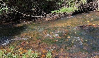 Coleman Mountain Road, Appomattox, VA 24522