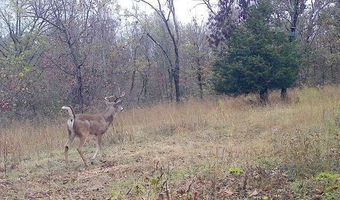 14 5 Neil Robinson Rd, Anderson, MO 64831