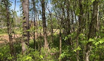 105 106 TOWBOAT Ln Lot 105 106, Adamsville, TN 38310