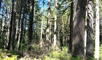 Tunnel Tract Parcel2, Banks, OR 97106