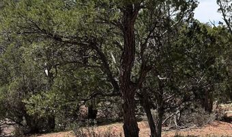 179 Arizona Rd, Ash Fork, AZ 86320