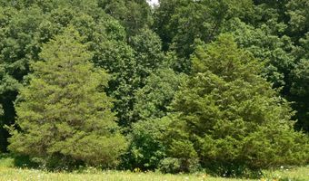 4203 Moorman Rd, Batesville, IN 47006