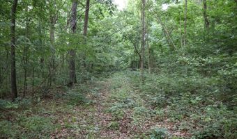 Whiskey Creek Lane, Batesville, AR 72501