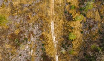 US Hwy 98, Beaumont, MS 39423