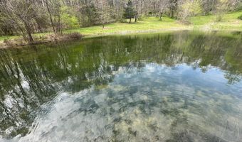 10515 Paw Paw Springs Rd, Arrington, TN 37014