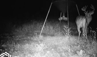 560 Th Ave, Albia, IA 52531