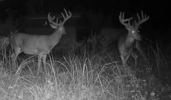 1299 E US HWY 160, Argonia, KS 67004