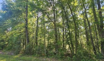 Two Church Road, Bowman, SC 29018