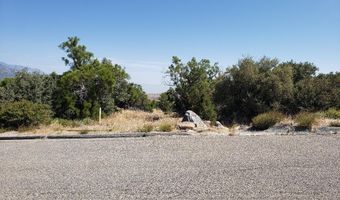 0 Ribbonwood Dr, Mountain Center, CA 92561