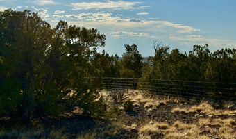 37 Co Rd N8174 10.1 Acres, Concho, AZ 85924