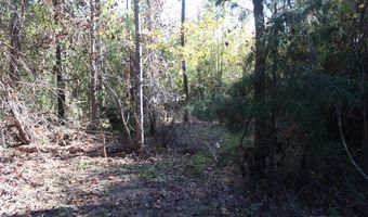 0 Lewis Ln Parcel 7071, Grand Ridge, FL 32442