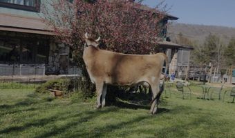 10463 Farm Road 1182, Aurora, MO 65605