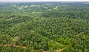 14 5 Neil Robinson Rd, Anderson, MO 64831