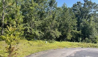 Madelyn Drive 1.18 Acre, Burnettown, SC 29829