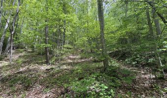 999999 Harwood Rd 2, Barnardsville, NC 28709