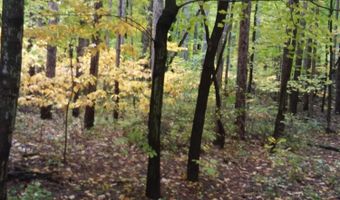 420 Pine Land Dr SE, Ada, MI 49301