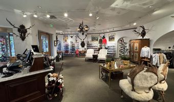 419 E Cooper Ave, Aspen, CO 81611