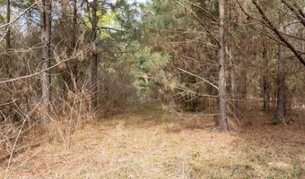 Tbd Pump Station Rd, Ashdown, AR 71822