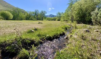 9885 Challis Creek Rd, Challis, ID 83226