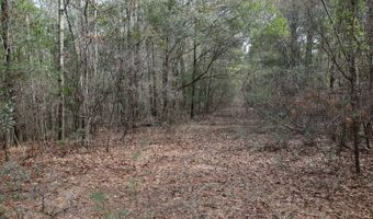 TBD Hwy. 29, Brooklyn, MS 39425