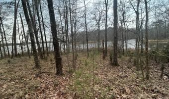 County Road 29, Alberta, AL 36720