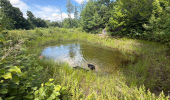 MOX16L125 Cemetery Road, Albany Twp., ME 04217