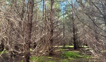 Steer Creek Rd, Blodgett, OR 97326