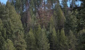 2477 CEDONIA ADDY Rd, Addy, WA 99101