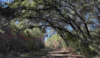 57 40 Acres-TBD Cades Rd, Cades, SC 29518
