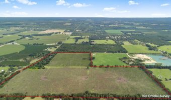 7009 129 Hwy, Bell, FL 32619