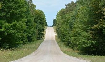 8600 TUCKER Rd, Almira, MI 49650