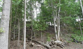 S Forest Lake, Alger, MI 48610