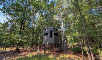 Old Moyers Road, Antlers, OK 74523