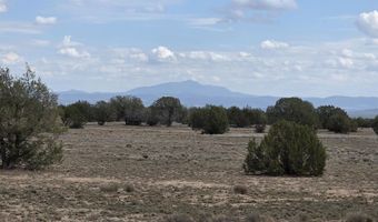 64 Antelope Run, Ash Fork, AZ 86320
