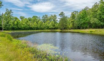 43 Tracelwood Dr, Arkadelphia, AR 71923