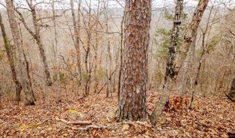 CR 19-A, Alton, MO 65606
