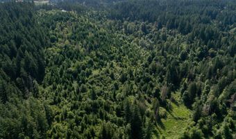 Bogynski RD, Oregon City, OR 97045