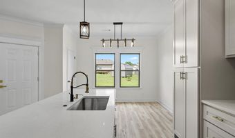 517 Madeleine Cir, Austin, AR 72007