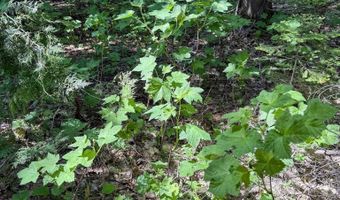 TBD Lot E Gratiot River, Allouez, MI 49805